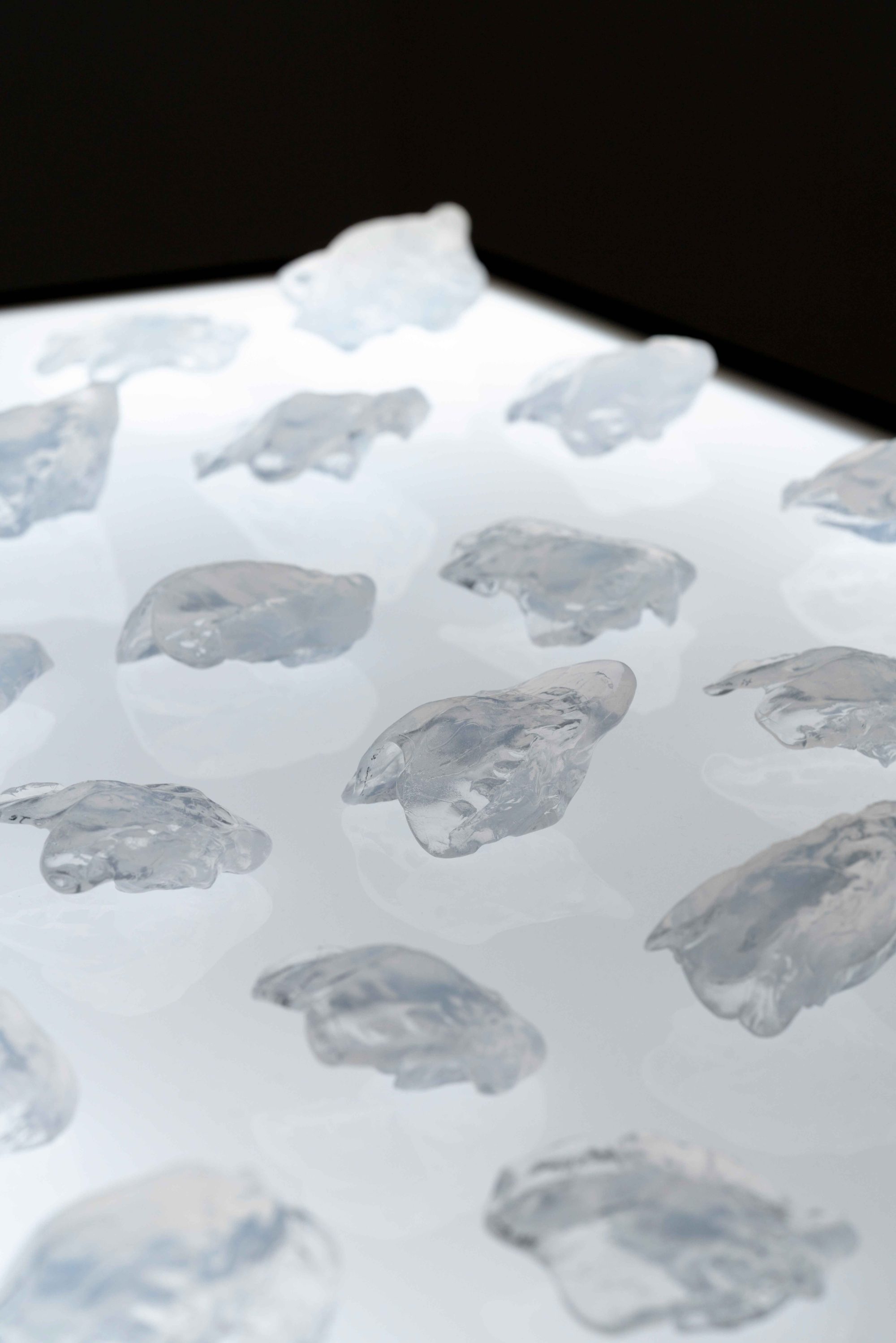 Speaker Attitude_011