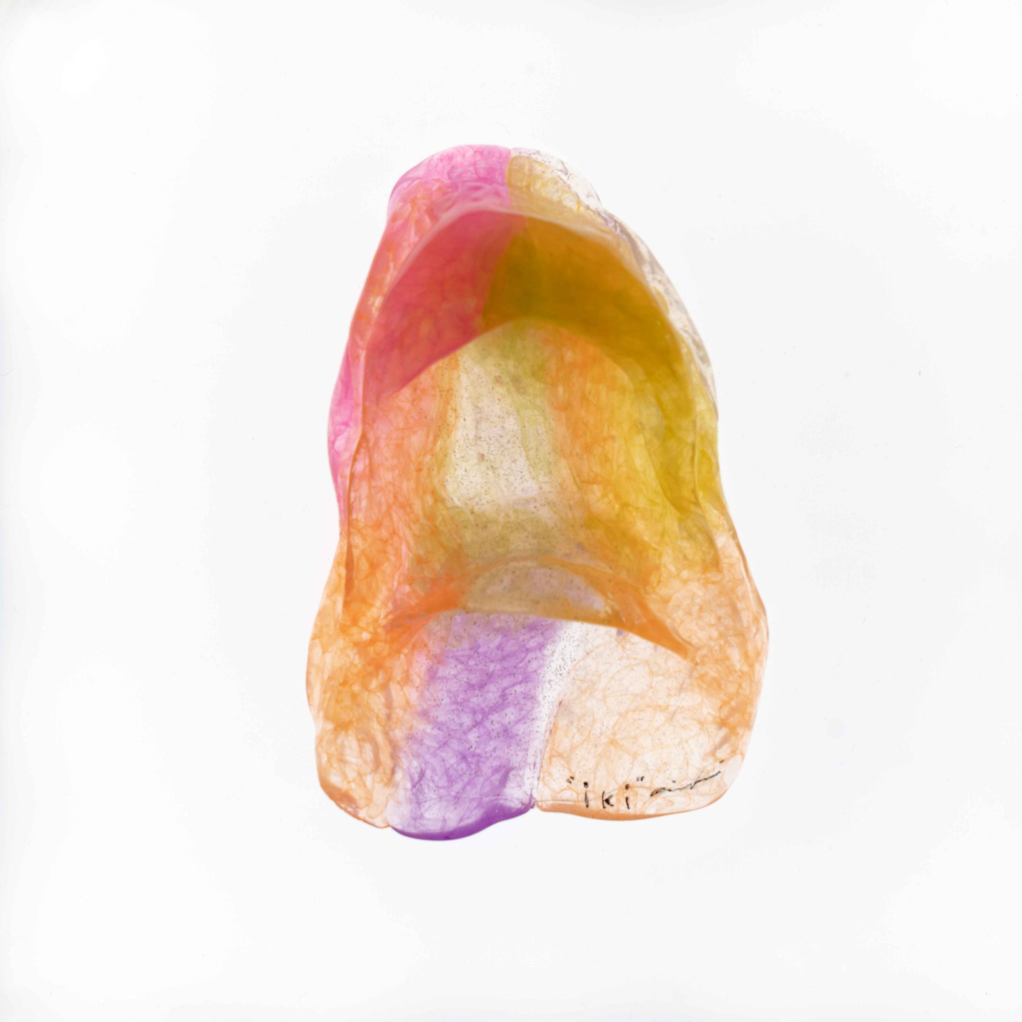 Speaker Attitude_014