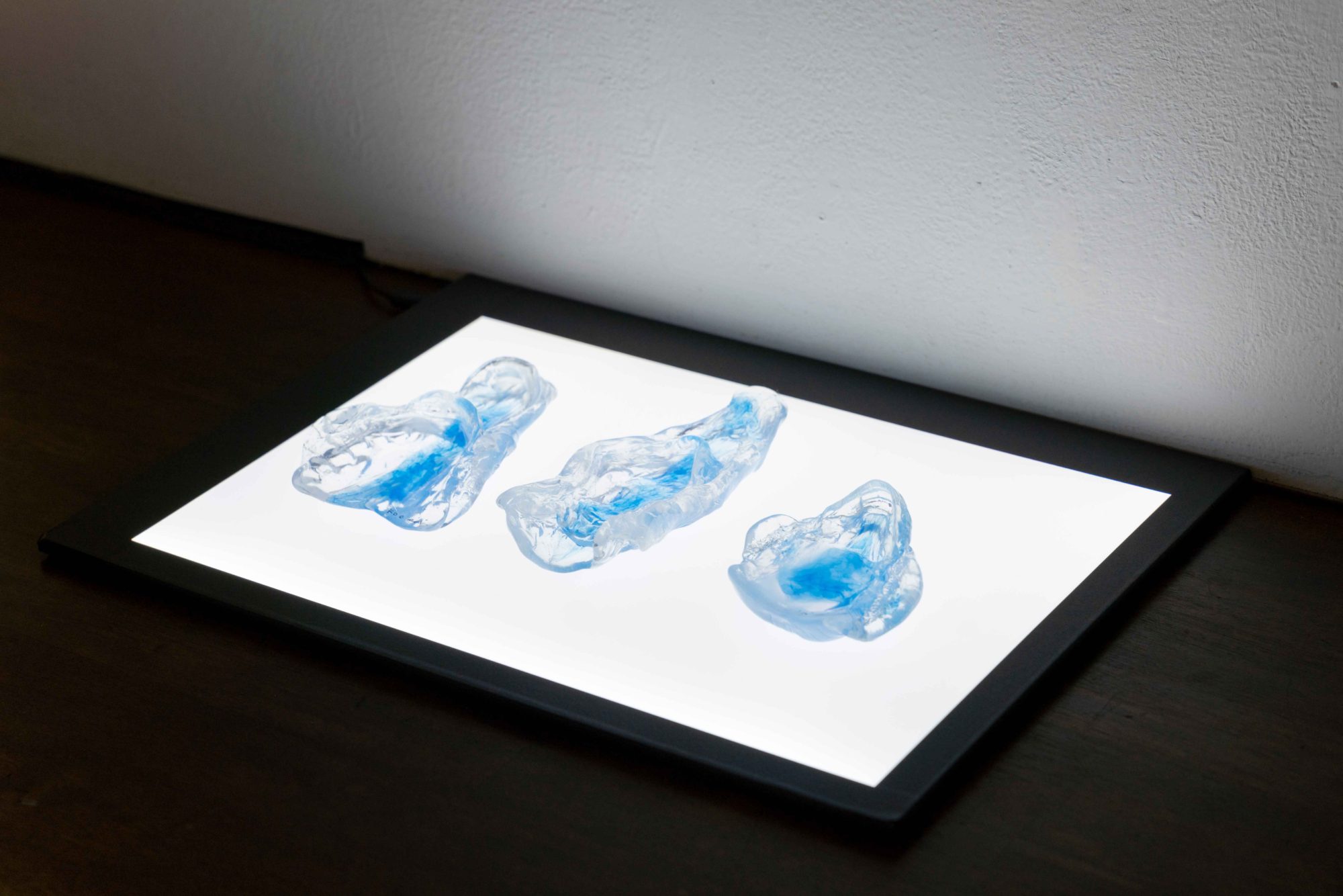 Speaker Attitude_018